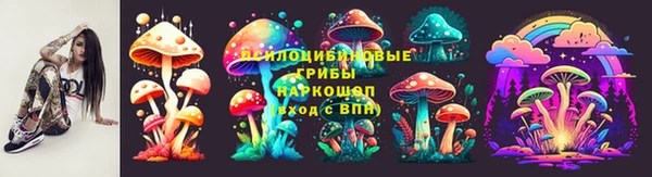 стаф Алексин