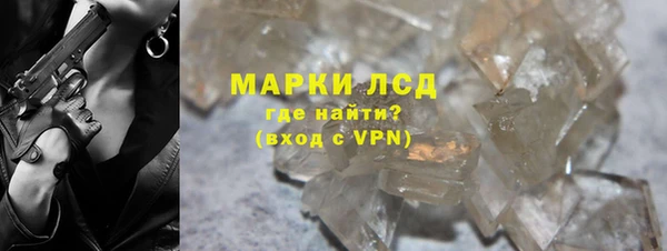 стаф Алексин
