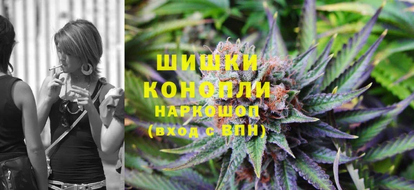 сатива Алзамай