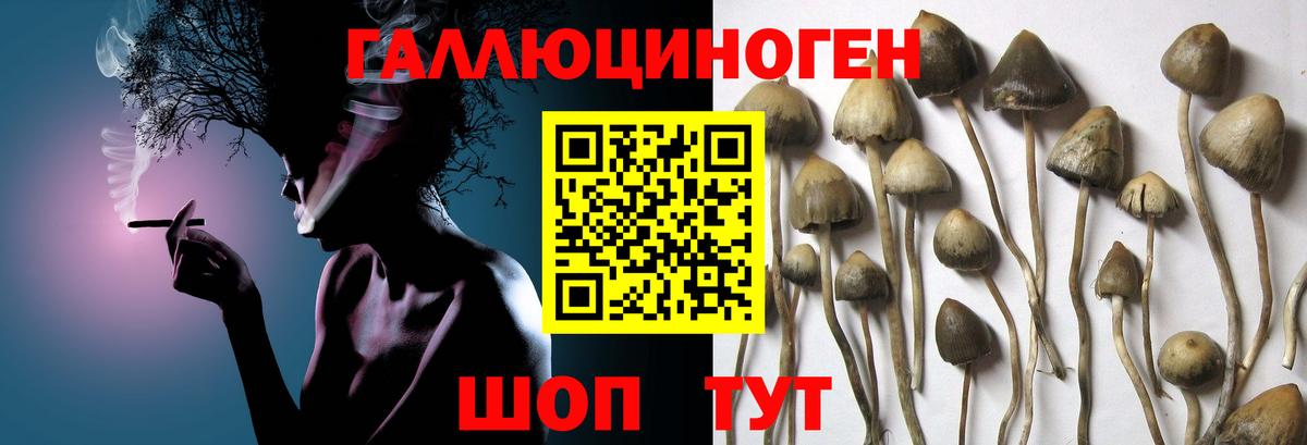 КОКАИН  ГАШИШ  Alpha-PVP СК   Вход с VPN  Мефедрон   Махачкала  ГАШ 